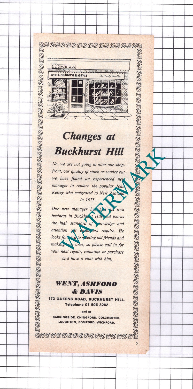 Went Ashford & Davis Buckhurst Hill Advert   - 1976 Clipping / Print