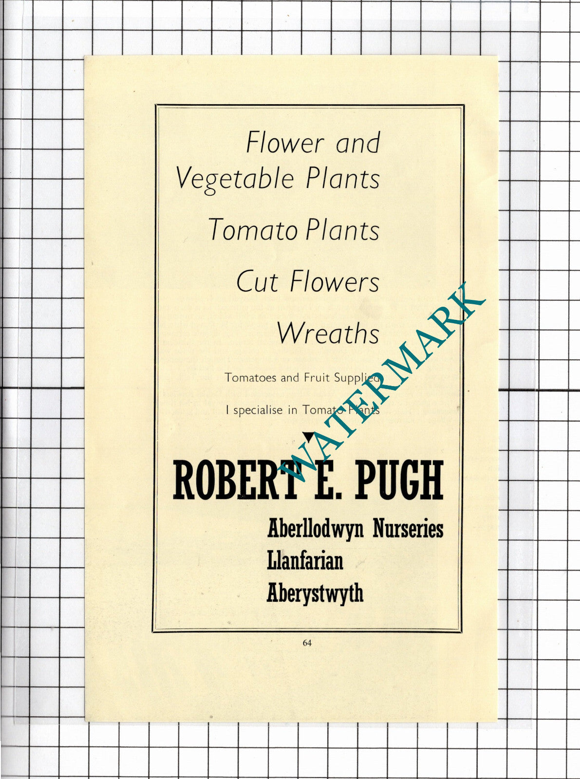 Robert E Pugh Aberllodwyn Nurseries Llanfarian Wales       - 1957  Advert