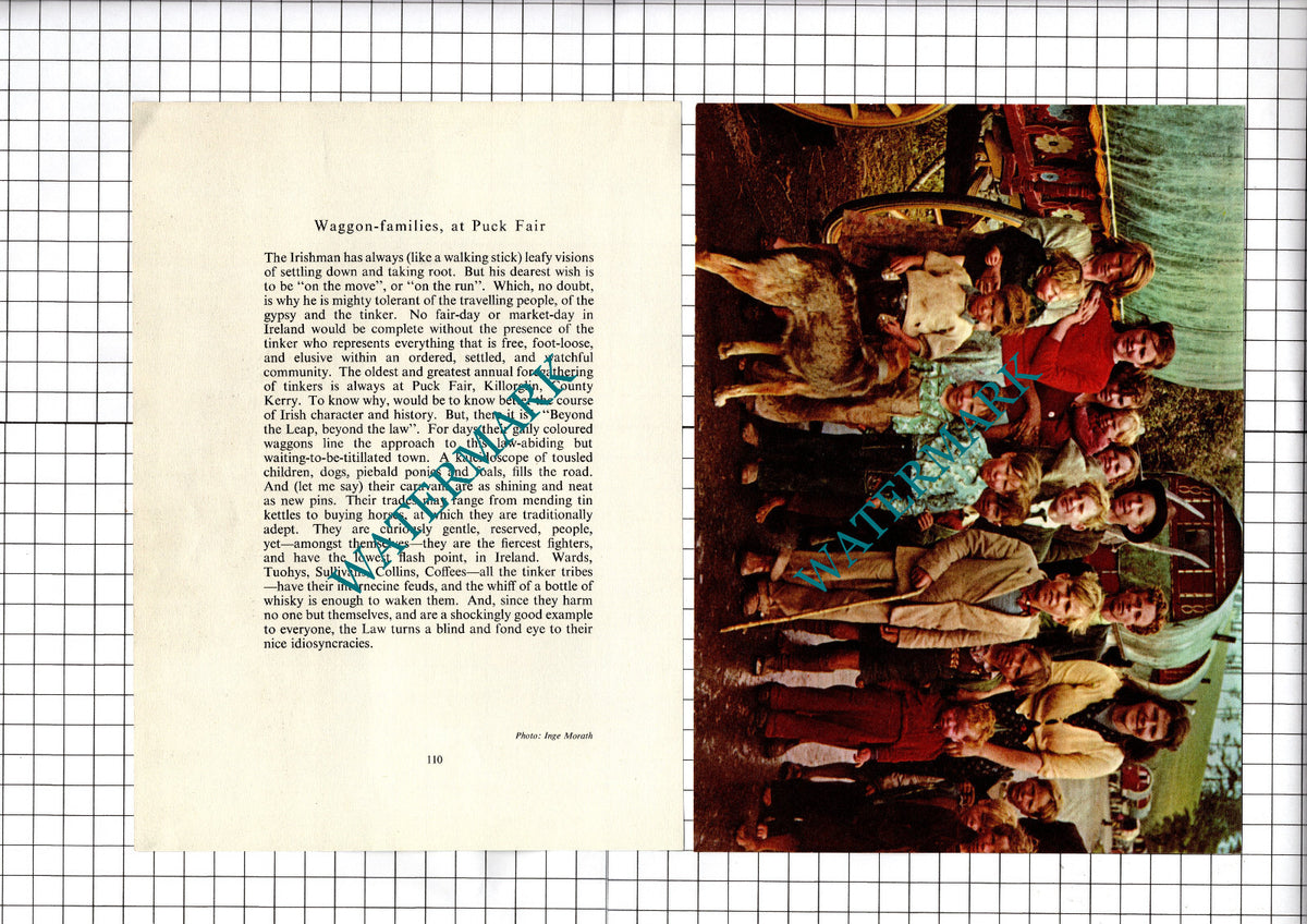Puck Fair Killorglin Ireland - c.1960's Two-Part  Cutting / Print