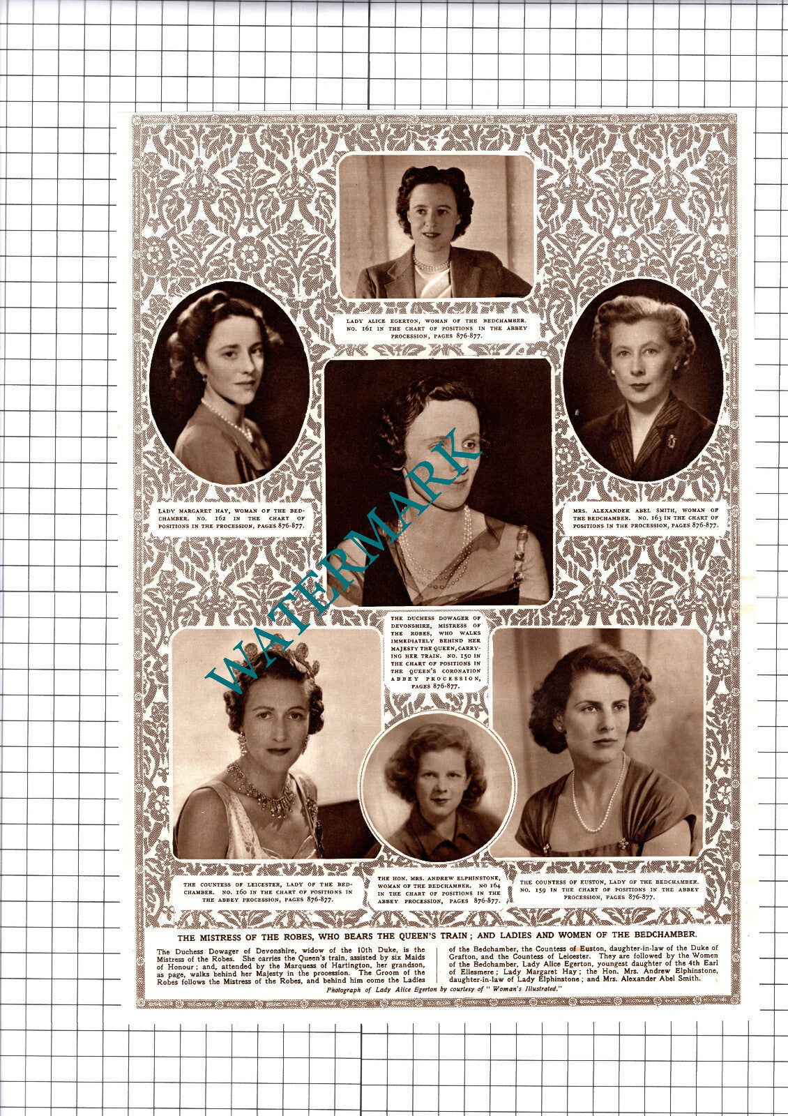Lady Alice Egerton Elphinstone Margaret Hay  Abel Smith -1953 Cutting/ Print