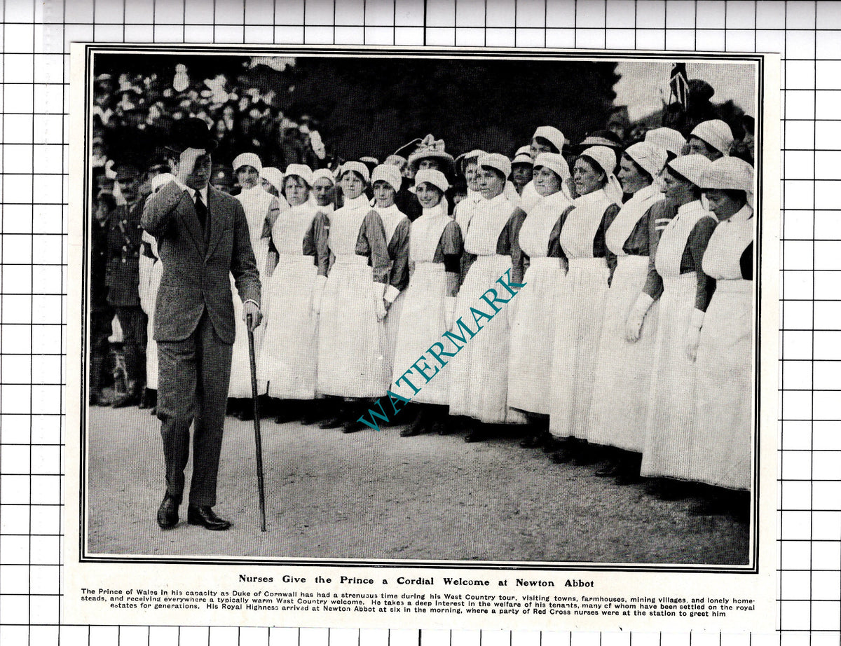 Red Cross Nurses Newton Abbot Devon - 1919 Cutting / Print