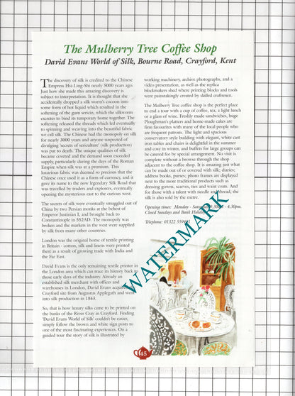 Mulberry Tree David Evans Crayford Kent / Squires Rayleigh Essex - c.2001 Advert