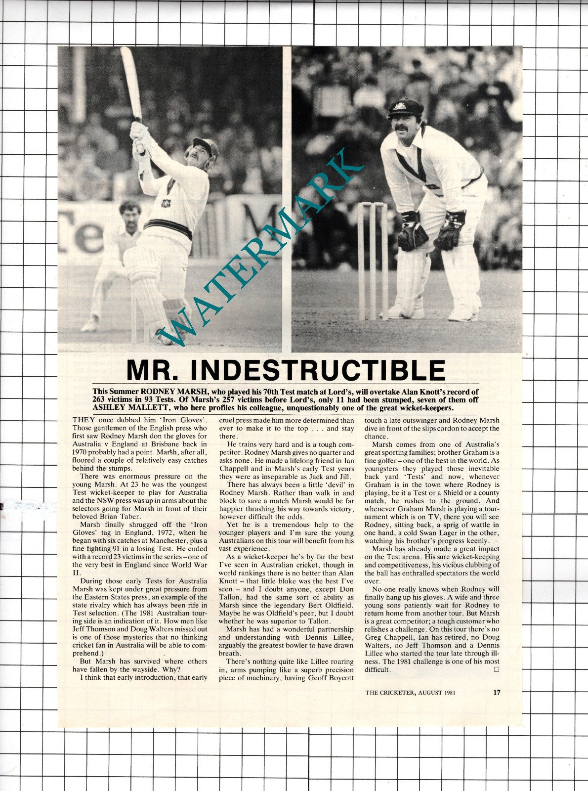 Rodney Marsh Cricketer Cricket  - 1981 Article