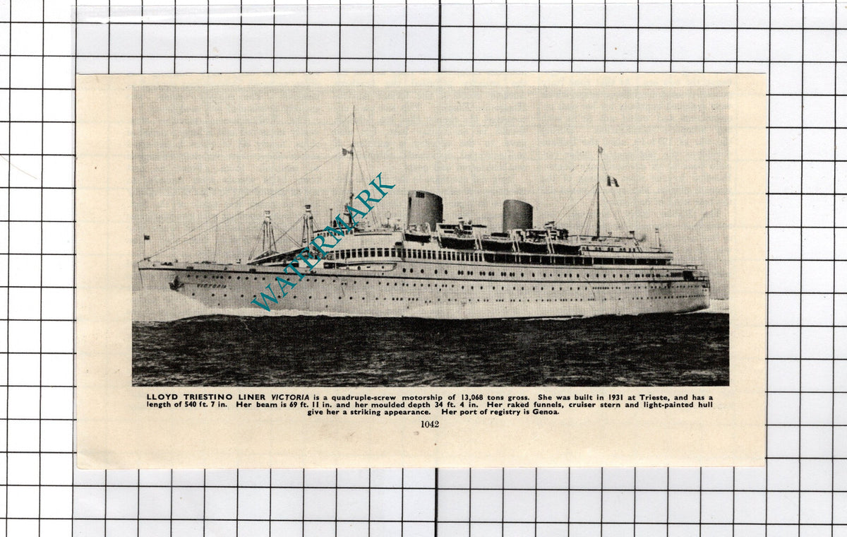 Lloyd Triestino Liner Ship Victoria -   c.1940's Cutting