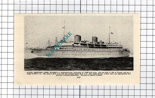 Lloyd Triestino Liner Ship Victoria -   c.1940's Cutting