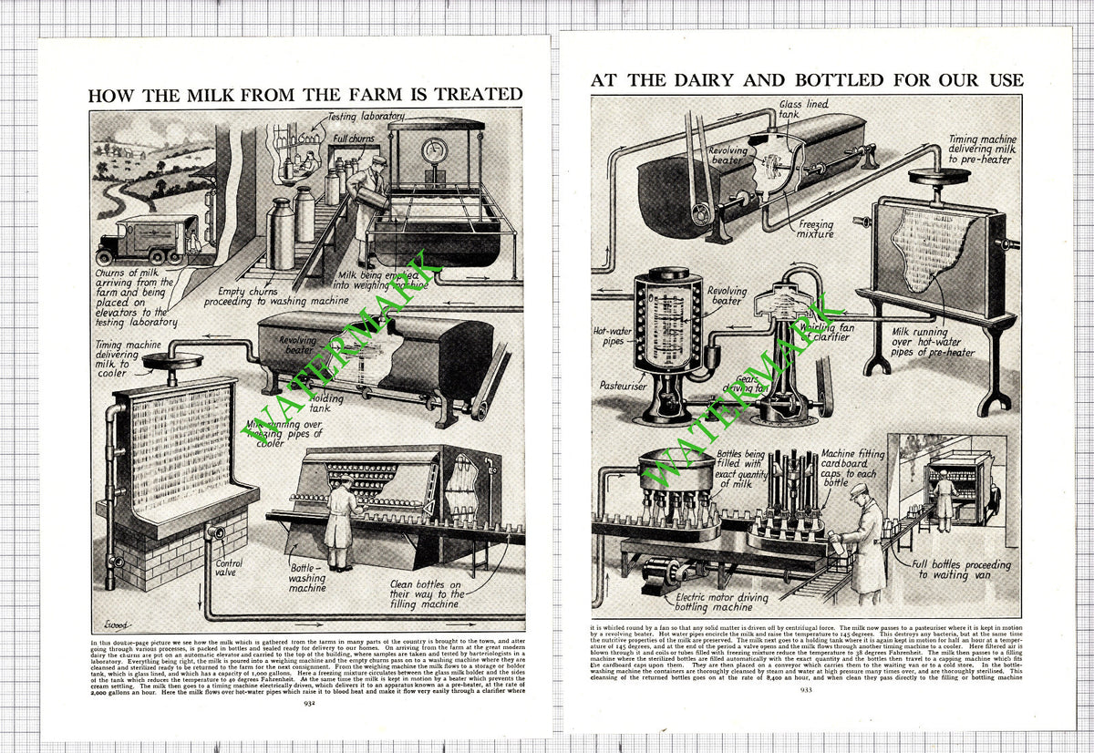 Milk Treatment Dairy Plant - c.1940s Two-Part Cutting / Print