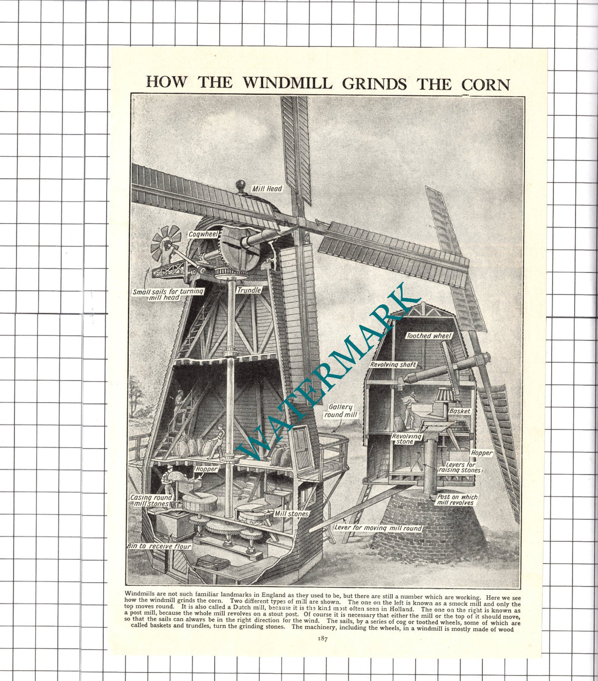 Windmill  Diagram  - 1930's Clipping