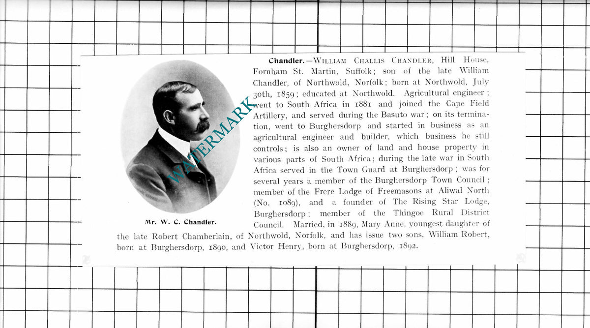 William Challis Chandler Fornham St Mary Suffolk - 1911 Clipping / Print