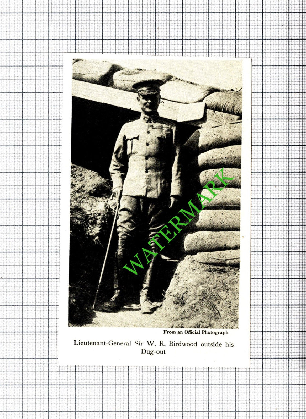 Lt Gen Sir W R Birdwood WW1 Great War- c.1920 Small Cutting
