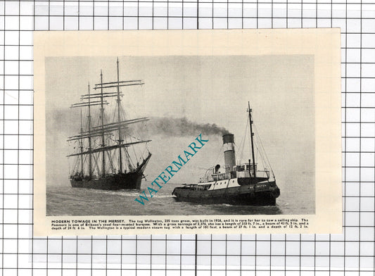 WELLINGTON Tug Boat  POMMERN Ship  - c.1940's Cutting