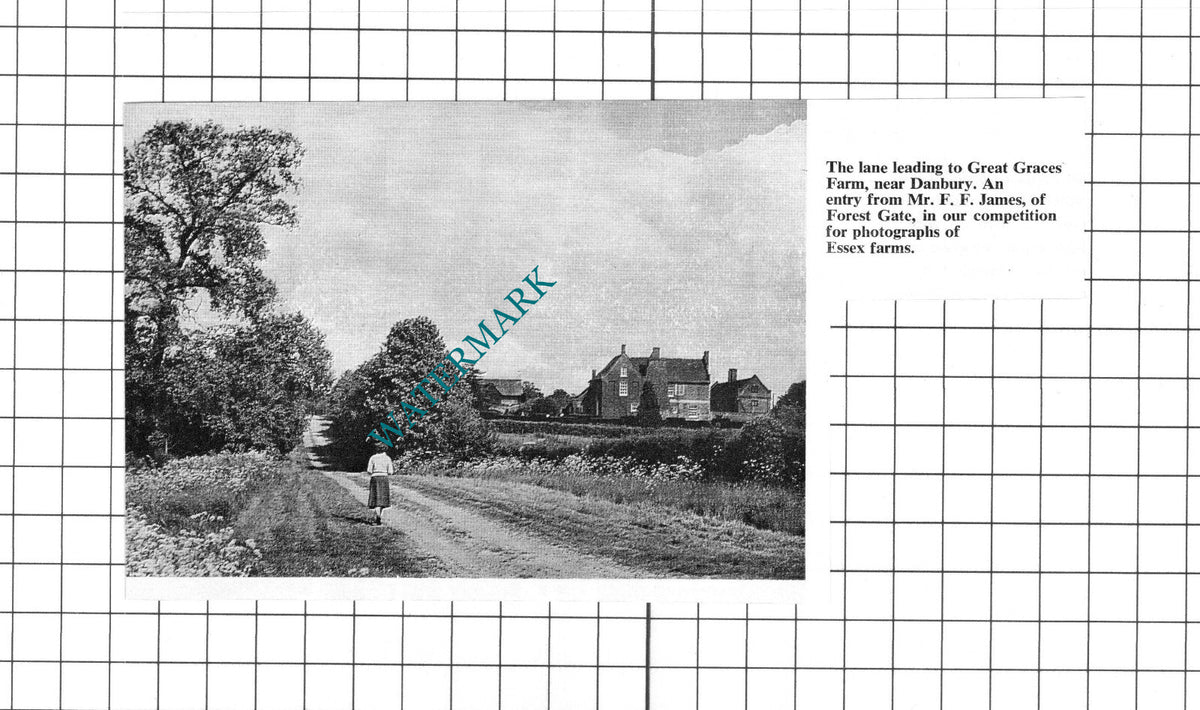 Great Graces Farm Danbury Essex  -  1967 Clipping