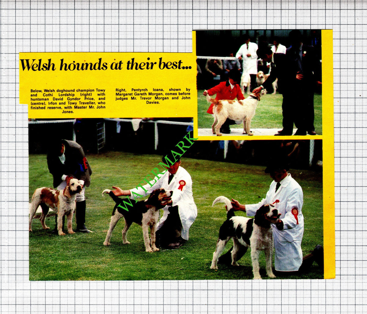 David Gyndor Price Trevor Morgan John Davies Welsh Hounds  - 1983 Cutting