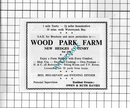 Rhodewood Guest House Saundersfoot / Wood Park Farm Tenby - 1962 Small Advert
