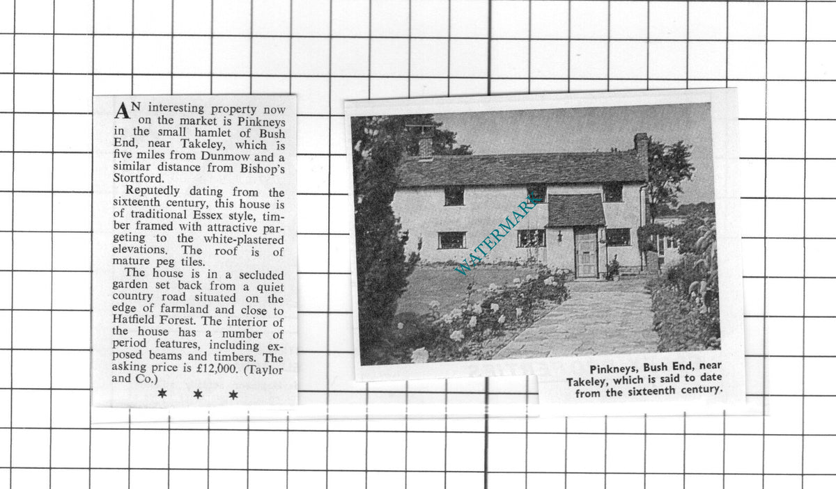 Pinkneys Bush End Takeley Essex Sale Advert    - 1967 Two-Part Clipping