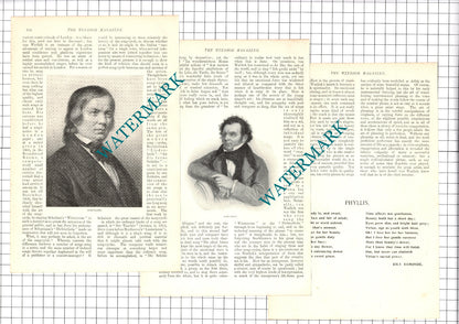 Reinhold Von Warlich Musician - 1907 Article / Print