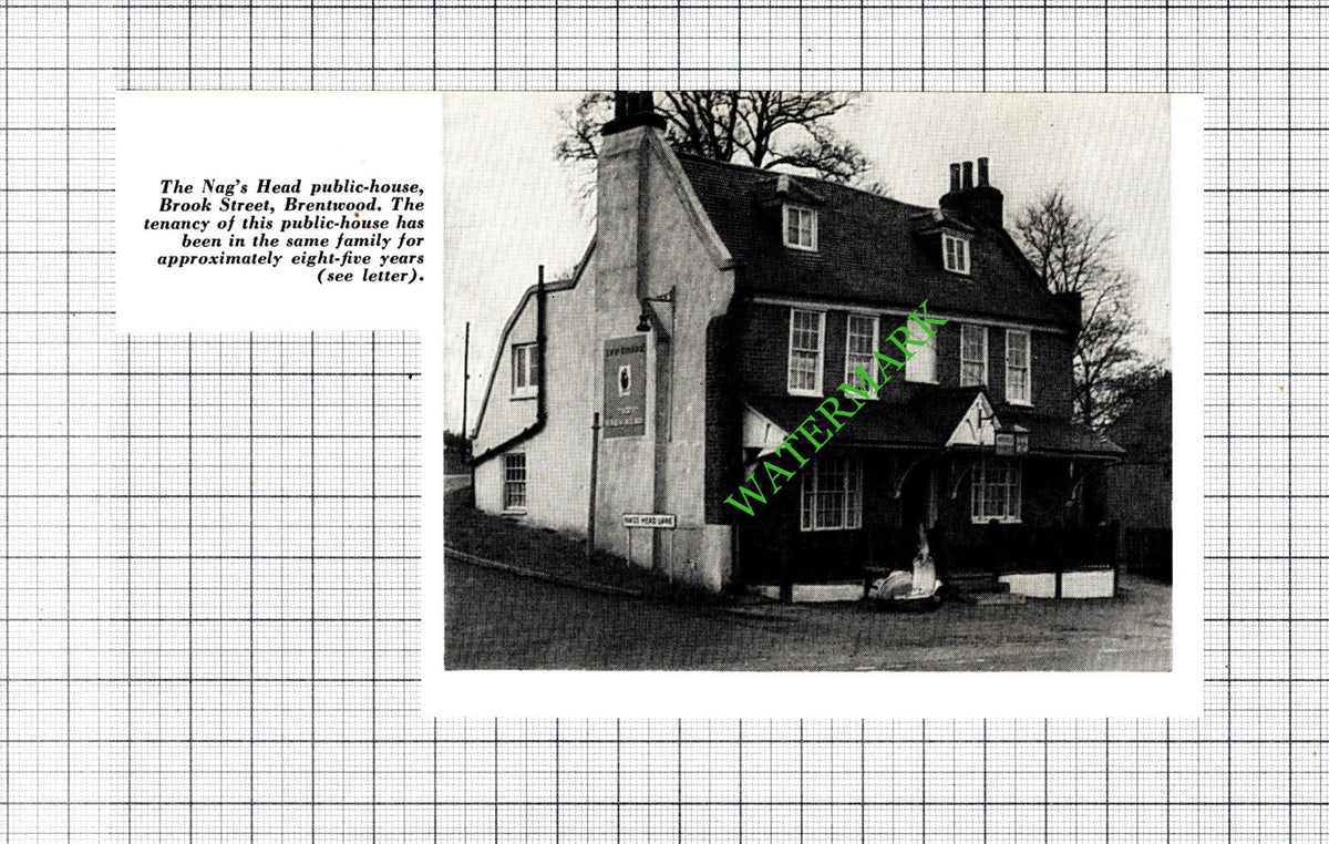 The Nag's Head Brentwood Essex  Pub - 1965 Small Cutting