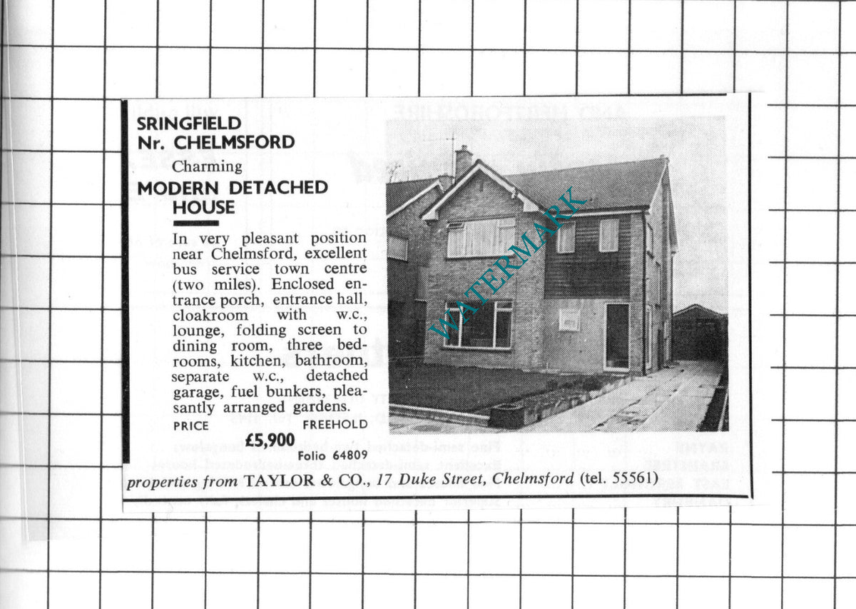 Springfield Chelmsford Essex House Sale Small Advert -  1965 Cutting