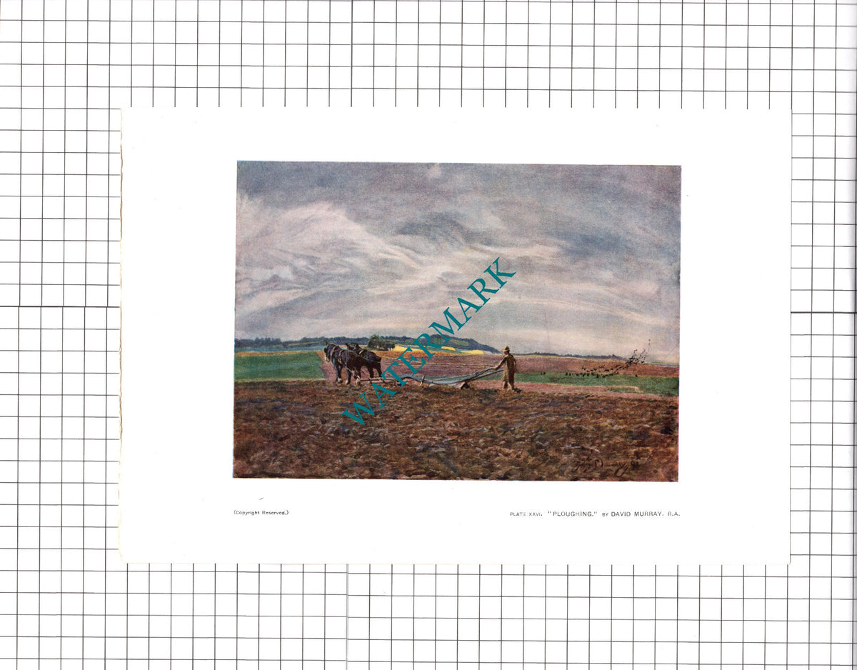 Ploughing by David Murray    - 1904 Print