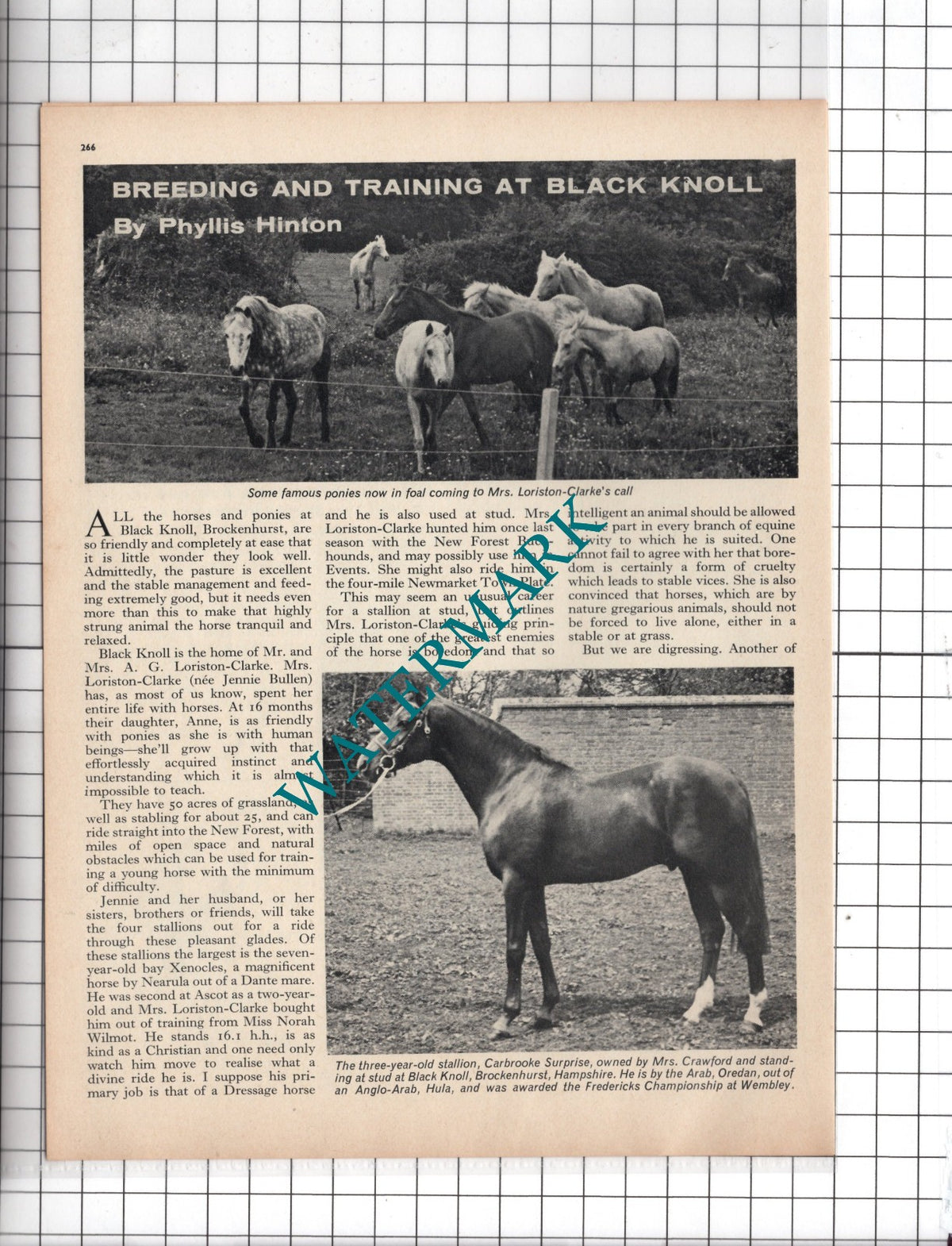 Mr Loriston-Castle Black Knoll House Brockenhurst Hampshire  - c.1967 Article