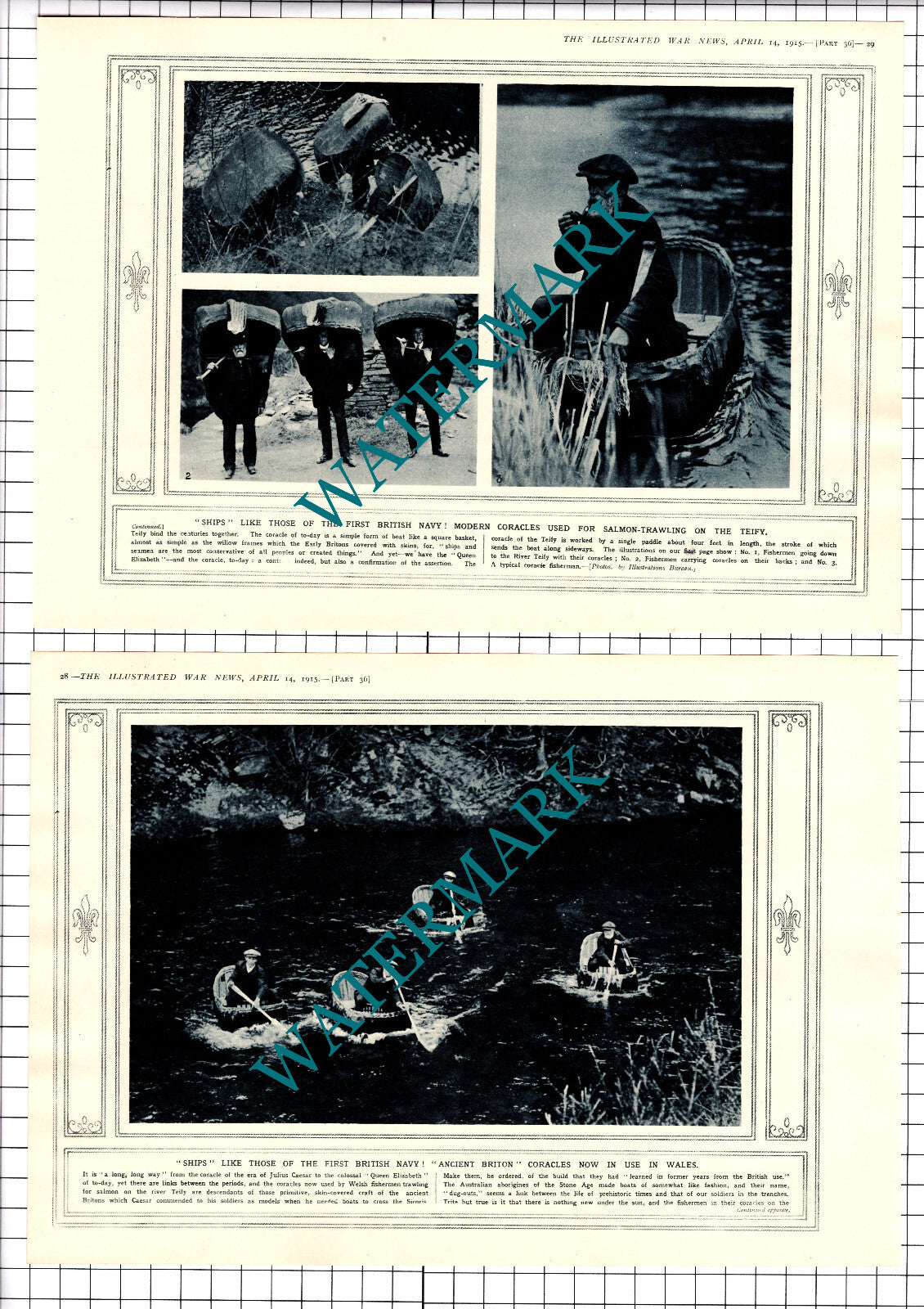 River Teify Wales Coracles  Fishermen Fishing - 1915 Two-Part Clipping / Print