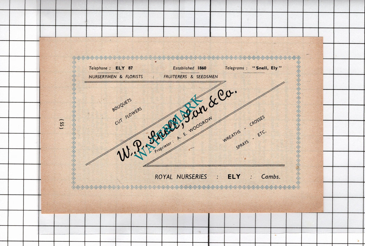 W P Snell Son & Co A E Woodrow Ely Cambridgeshire     - 1949 Small ADVERT