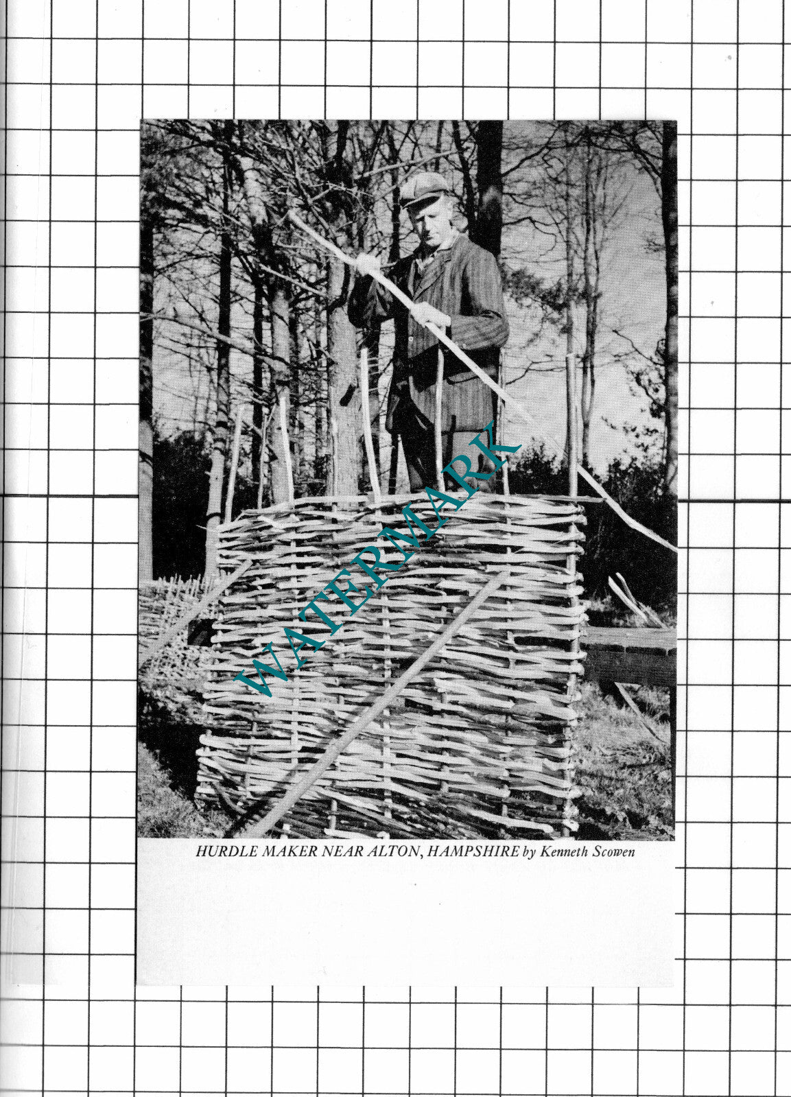 Bovey Tracey Devon / Alton Hampshire Hurdle Maker - 1971 Clipping / Print