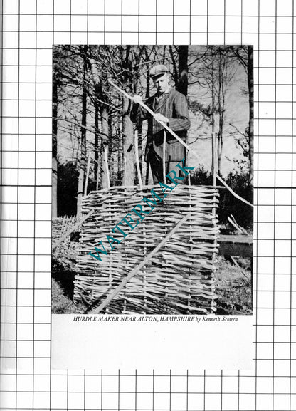 Bovey Tracey Devon / Alton Hampshire Hurdle Maker - 1971 Clipping / Print