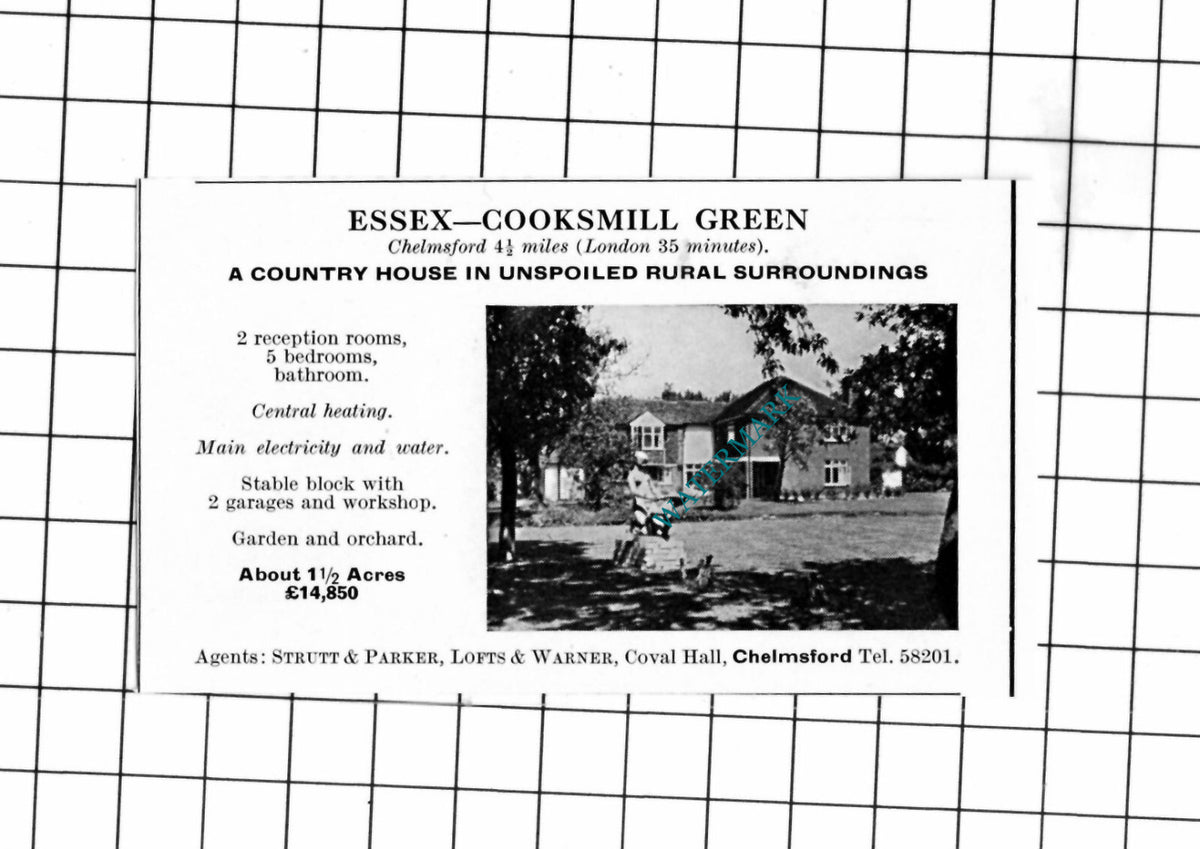 Cooksmill Green Essex SMALL House Sale Advert  - 1967 Clipping