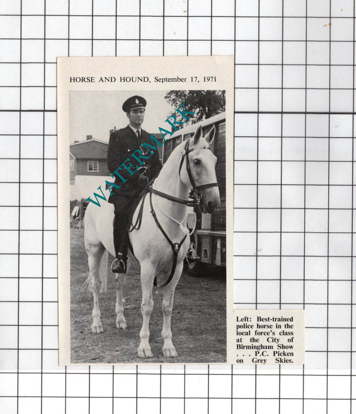 P C Picken Police Horse Grey Skies -1971 Small Cutting
