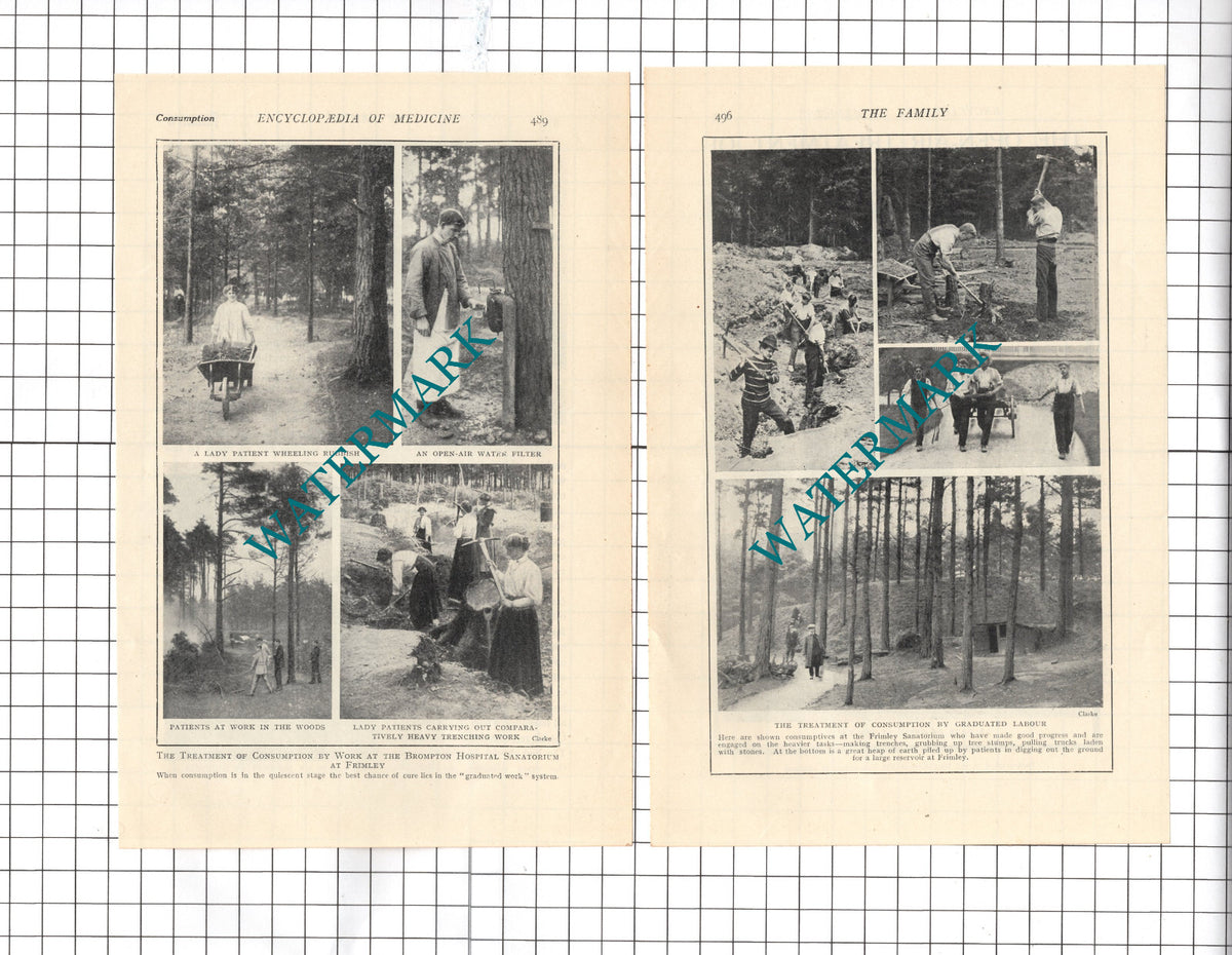 Brompton Hospital Frimley Sanatorium  - c.1914  Two-Part Cutting