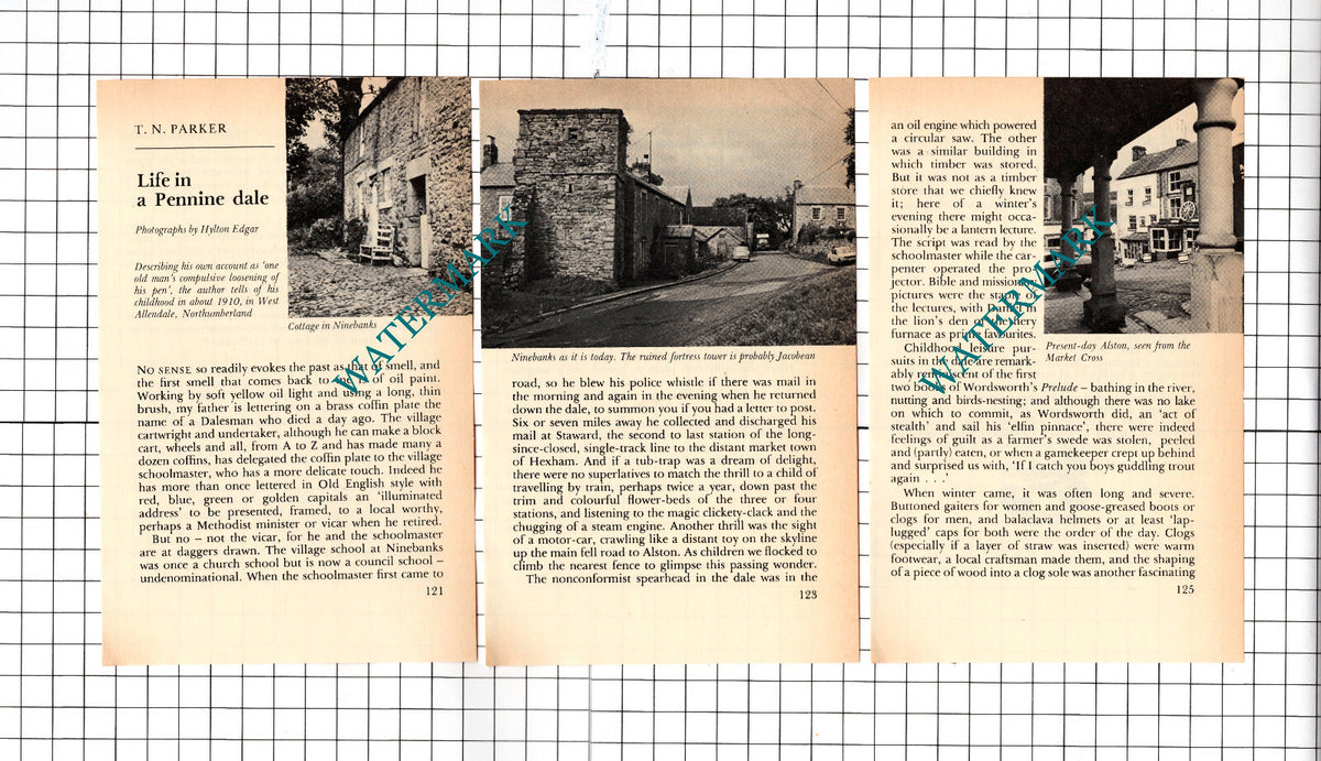 T N Parker Ninebanks West Allendale Northumberland - 1978 Small Article