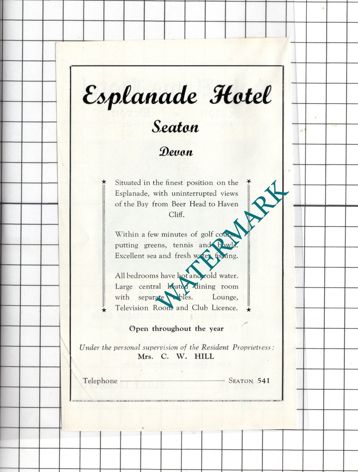 Pole Arms Hotel Seaton Devon Ramage / Esplanade Hotel Seaton Hill -c.1954 Advert