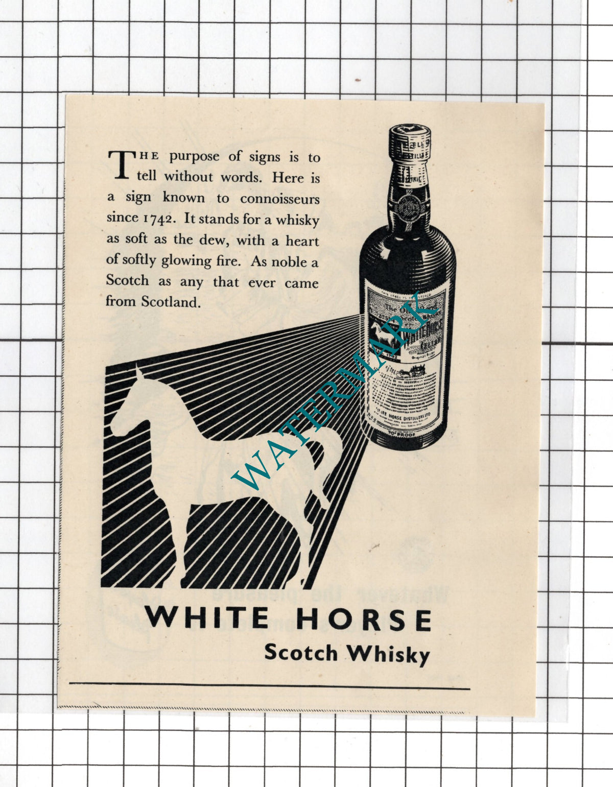 White Horse Scotch Whisky / Player's Cigarettes Advert - 1951 Small Clipping