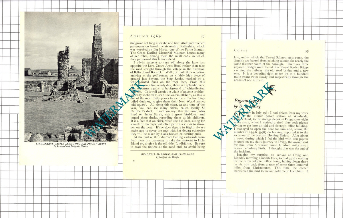 Sir John Craster Tower Northumberland - 1969 Article