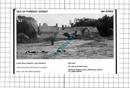 Lynch Farm Kingston Dorset / Sibford Ferris Oxfordshire Advert - 1980 Clipping