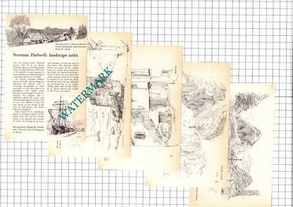 Norman Thelwell Artist  -1976 Article