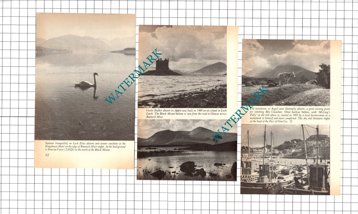 Noel Habgood Christchurch New Zealand Photographer - 1979 Article / Print