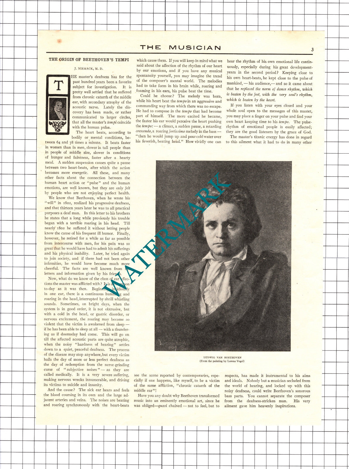 Ludwig Van Beethoven - c.1905 Cutting / Print