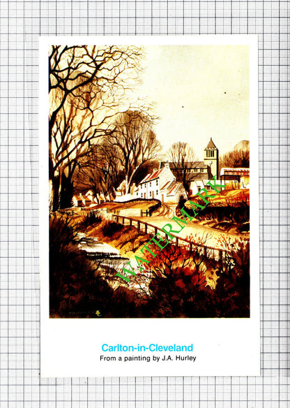 Carlton In Cleveland / Beverley Yorkshire - 1980 Cutting / Print