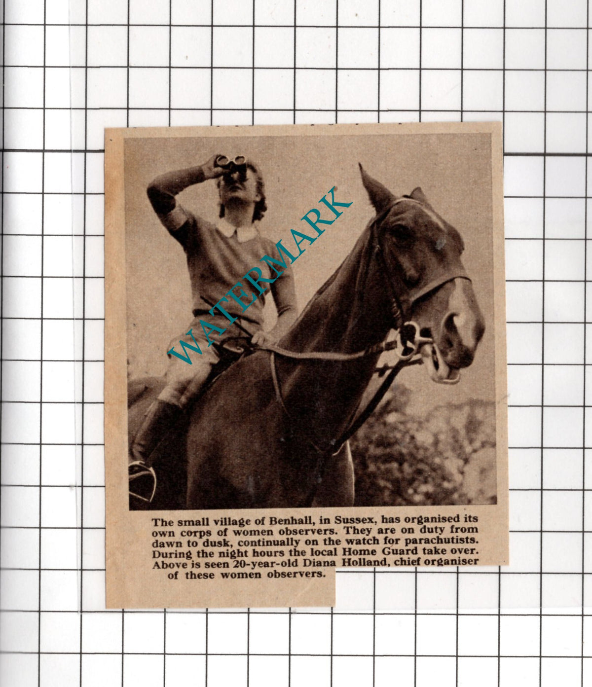 Diana Holland Benhall Sussex World War Two - 1940 Small Cutting