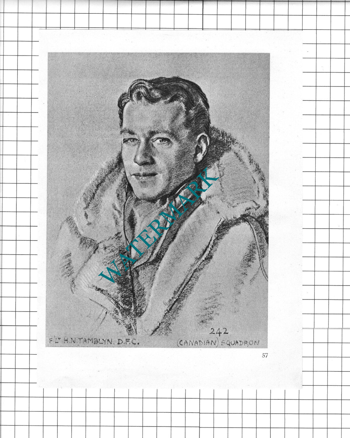 F/Lt P H M Richey / F/Lt H N Tamblyn  WW2 Pilot - 1942 Book Print