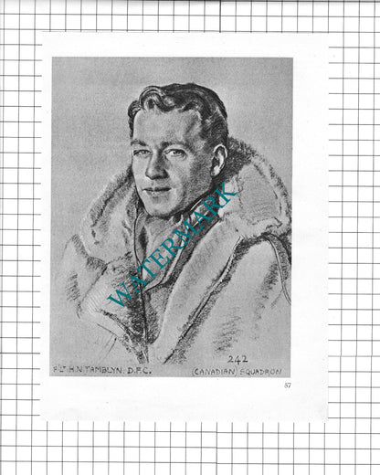 F/Lt P H M Richey / F/Lt H N Tamblyn  WW2 Pilot - 1942 Book Print