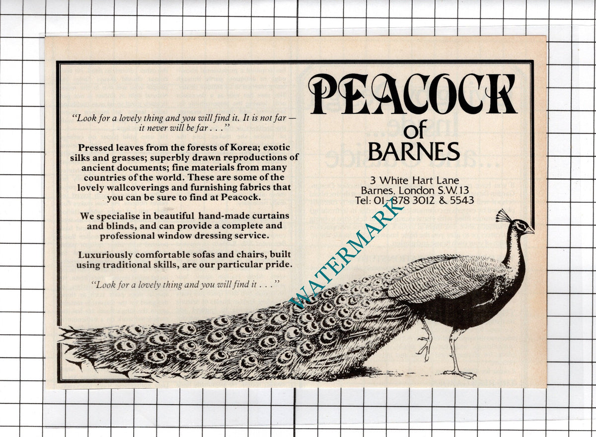 Peacock Of Barnes London Advert - 1980 Cutting