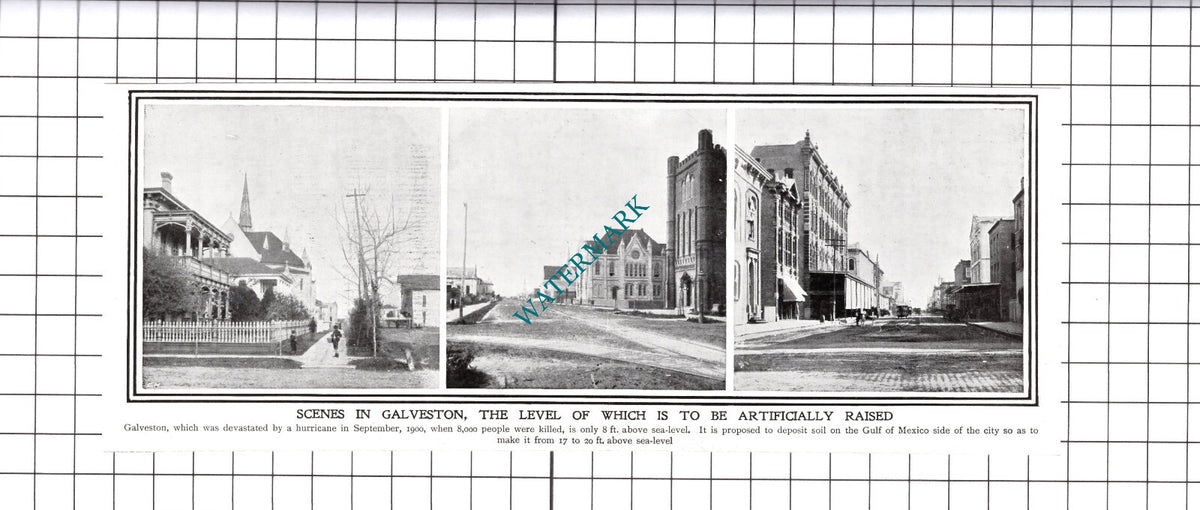 Galveston Texas - 1903 Cutting / Print
