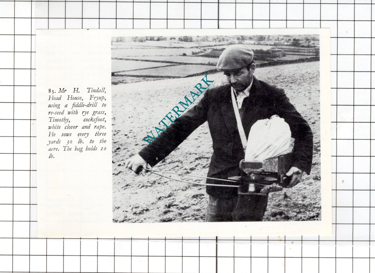 Mr H Tindall Head House Fryup Yorkshire -  Small Clipping