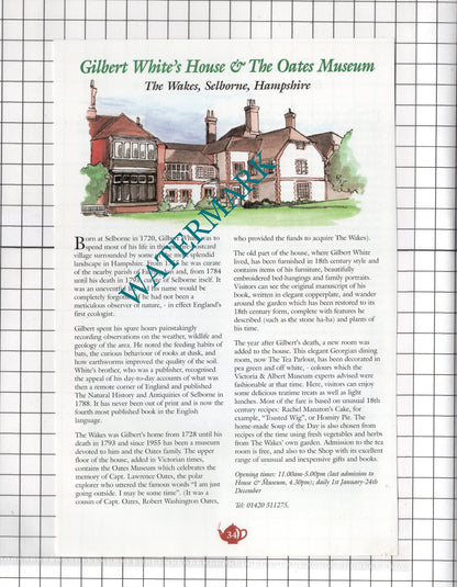 Gilbert White Selborne Hampshire / Smithy Tea Rooms Exbury - c.2001 Advert