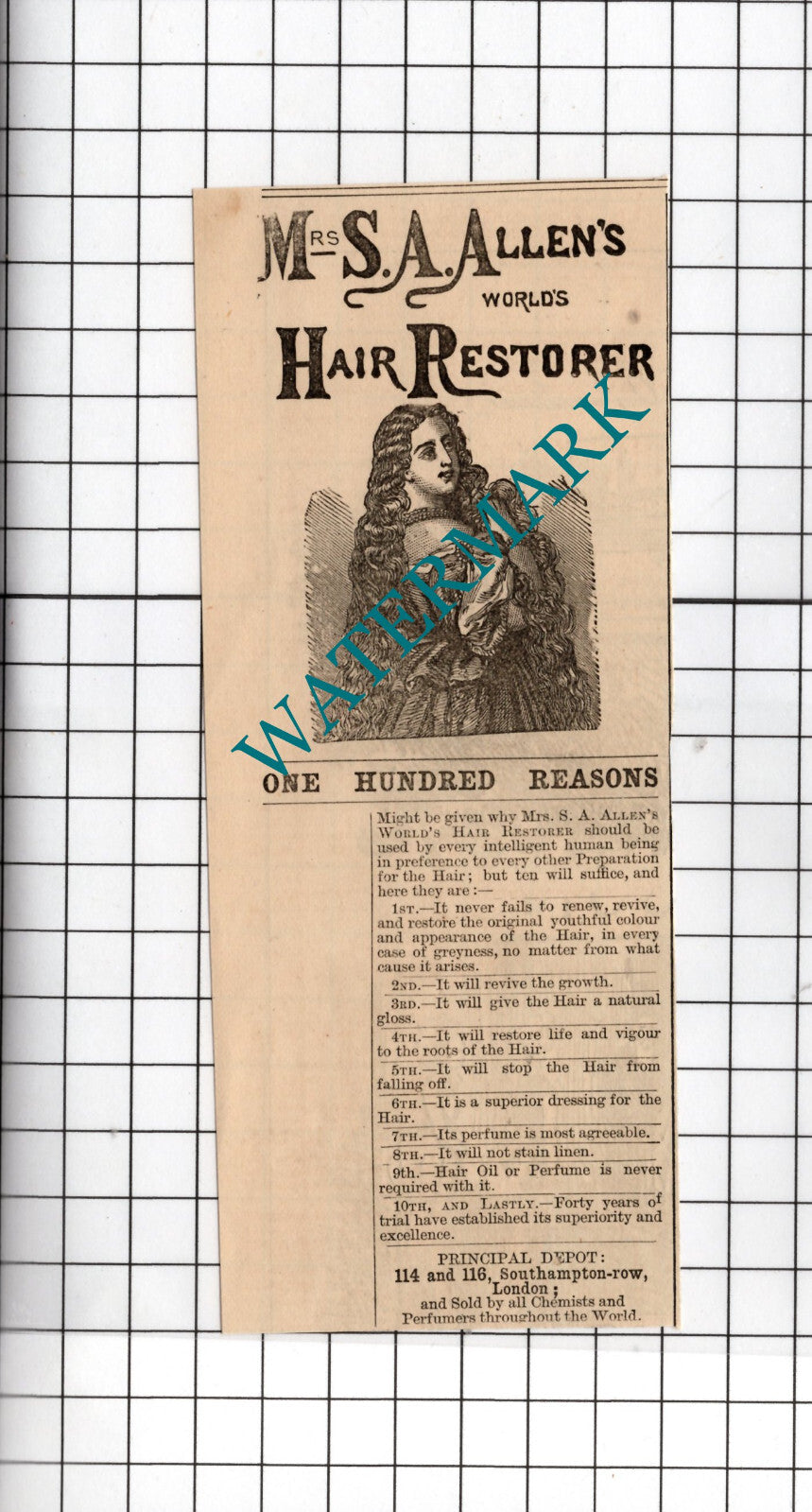 Mrs S A Allen's World's Hair Restorer - 1875 Small Advert