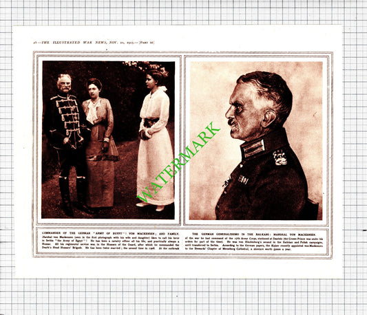 Marshal Von Mackensen 17th Army Corps Great War  WW1   - 1915 Cutting