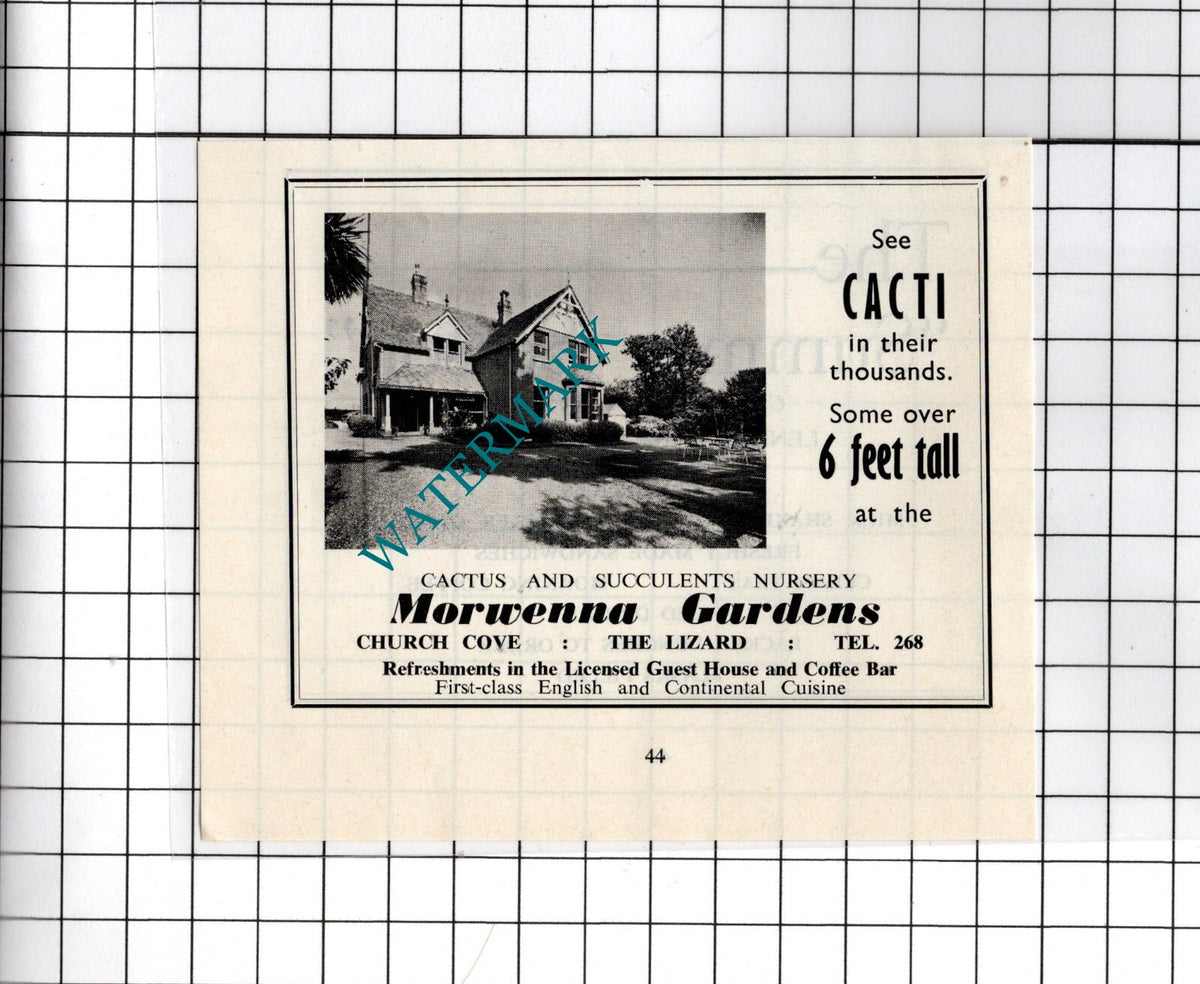 Morwenna Gardens Church Cove The Lizard Cornwall    - c.1969 Small Advert