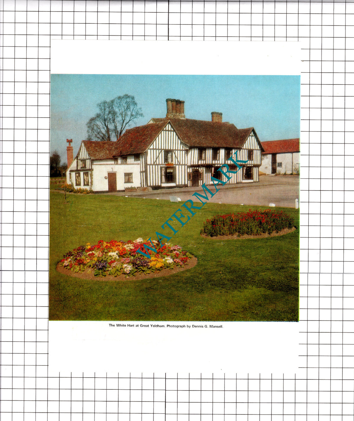 Dedham Essex / The White Hart Great Yeldham Essex - 1972 Clipping / Print